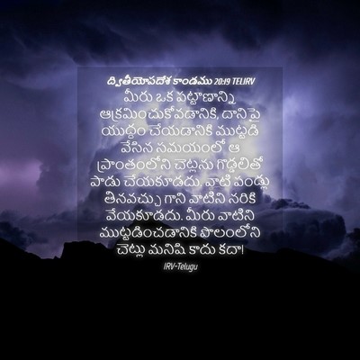 Picture 04 - ద్వితీయోపదేశ కాండము 20:19 TELIRV - మీరు ఒక - Bible Verse Picture