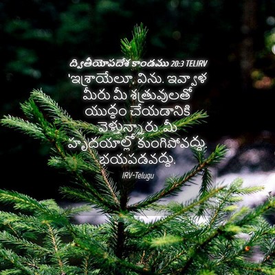 Picture 04 - ద్వితీయోపదేశ కాండము 20:3 TELIRV - ‘ఇశ్రాయేలూ, విను. - Bible Verse Picture