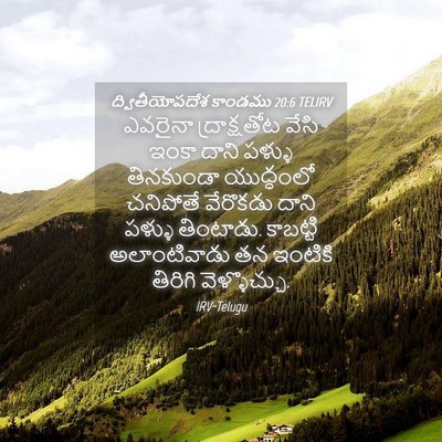 Picture 04 - ద్వితీయోపదేశ కాండము 20:6 TELIRV - ఎవరైనా ద్రాక్షతోట - Bible Verse Picture