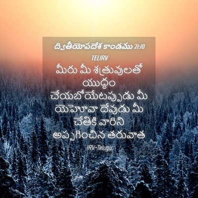 Picture 04 - ద్వితీయోపదేశ కాండము 21:10 TELIRV - మీరు మీ - Bible Verse Picture