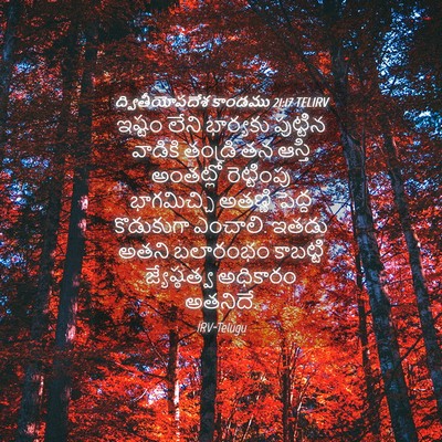 Picture 04 - ద్వితీయోపదేశ కాండము 21:17 TELIRV - ఇష్టం లేని - Bible Verse Picture