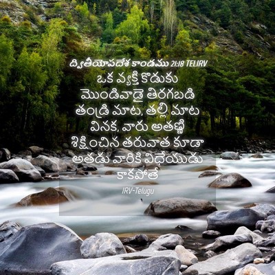 Picture 04 - ద్వితీయోపదేశ కాండము 21:18 TELIRV - ఒక వ్యక్తి కొడుకు - Bible Verse Picture