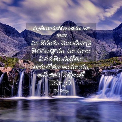 Picture 04 - ద్వితీయోపదేశ కాండము 21:20 TELIRV - మా కొడుకు - Bible Verse Picture