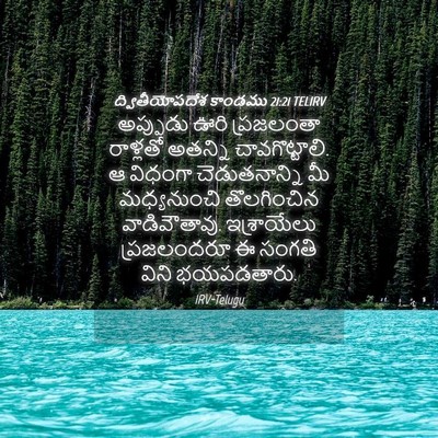 Picture 04 - ద్వితీయోపదేశ కాండము 21:21 TELIRV - అప్పుడు ఊరి - Bible Verse Picture