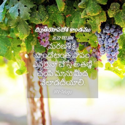 Picture 04 - ద్వితీయోపదేశ కాండము 21:22 TELIRV - మరణశిక్ష పొందేటంత - Bible Verse Picture