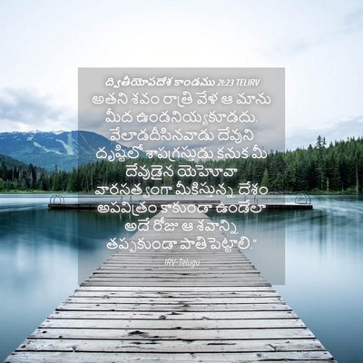 Picture 04 - ద్వితీయోపదేశ కాండము 21:23 TELIRV - అతని శవం రాత్రి - Bible Verse Picture
