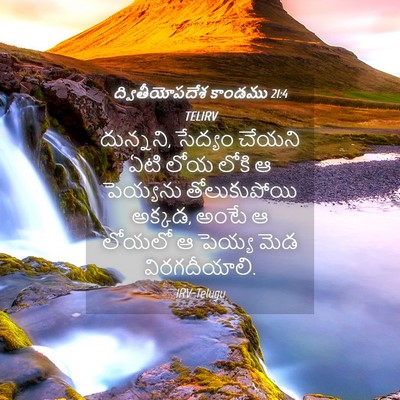 Picture 04 - ద్వితీయోపదేశ కాండము 21:4 TELIRV - దున్నని, సేద్యం - Bible Verse Picture