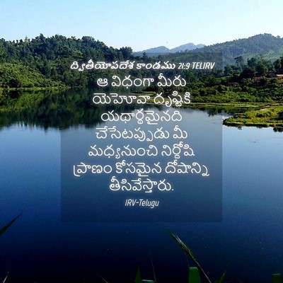 Picture 04 - ద్వితీయోపదేశ కాండము 21:9 TELIRV - ఆ విధంగా మీరు - Bible Verse Picture
