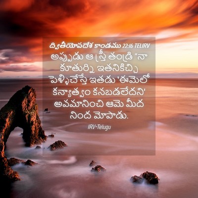 Picture 04 - ద్వితీయోపదేశ కాండము 22:16 TELIRV - అప్పుడు ఆ స్త్రీ - Bible Verse Picture