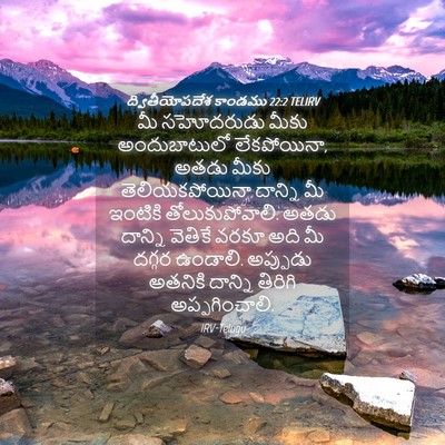 Picture 04 - ద్వితీయోపదేశ కాండము 22:2 TELIRV - మీ సహోదరుడు మీకు - Bible Verse Picture