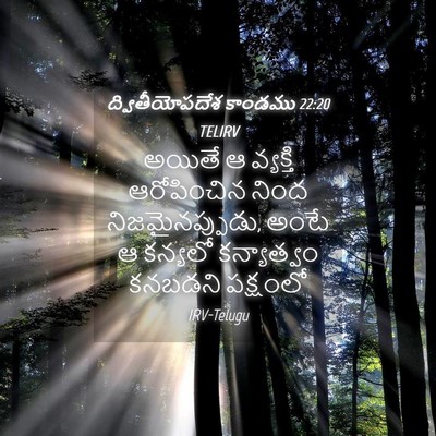 Picture 04 - ద్వితీయోపదేశ కాండము 22:20 TELIRV - అయితే ఆ వ్యక్తి - Bible Verse Picture