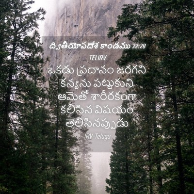 Picture 04 - ద్వితీయోపదేశ కాండము 22:28 TELIRV - ఒకడు ప్రదానం - Bible Verse Picture