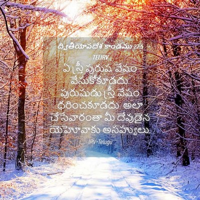Picture 04 - ద్వితీయోపదేశ కాండము 22:5 TELIRV - ఏ స్త్రీ పురుష - Bible Verse Picture