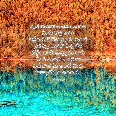 Picture 04 - ద్వితీయోపదేశ కాండము 22:8 TELIRV - మీరు కొత్త ఇల్లు - Bible Verse Picture
