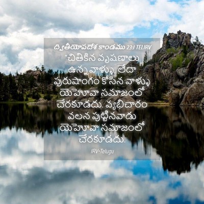 Picture 04 - ద్వితీయోపదేశ కాండము 23:1 TELIRV - “చితికిన వృషణాలు - Bible Verse Picture