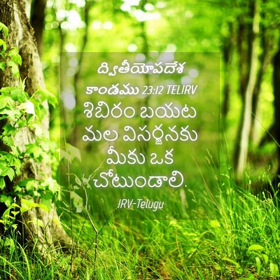 Picture 04 - ద్వితీయోపదేశ కాండము 23:12 TELIRV - శిబిరం బయట మల - Bible Verse Picture