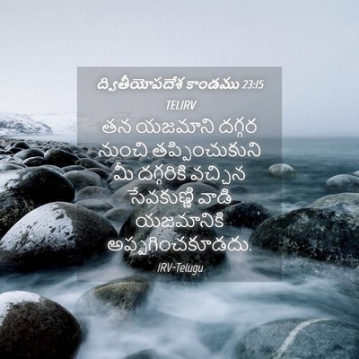 Picture 04 - ద్వితీయోపదేశ కాండము 23:15 TELIRV - తన యజమాని దగ్గర - Bible Verse Picture
