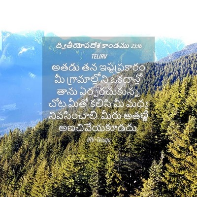 Picture 04 - ద్వితీయోపదేశ కాండము 23:16 TELIRV - అతడు తన - Bible Verse Picture