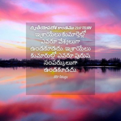 Picture 04 - ద్వితీయోపదేశ కాండము 23:17 TELIRV - ఇశ్రాయేలు - Bible Verse Picture