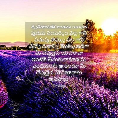 Picture 04 - ద్వితీయోపదేశ కాండము 23:18 TELIRV - పురుష సంపర్కం - Bible Verse Picture