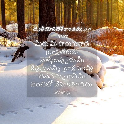 Picture 04 - ద్వితీయోపదేశ కాండము 23:24 TELIRV - మీరు మీ - Bible Verse Picture