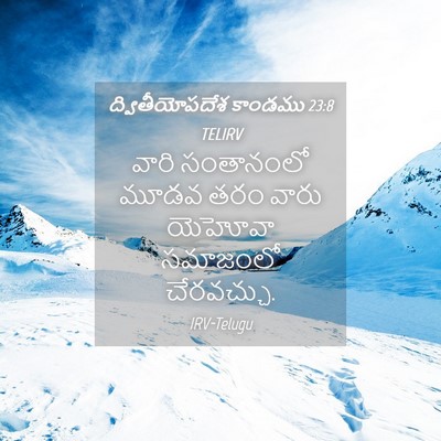 Picture 04 - ద్వితీయోపదేశ కాండము 23:8 TELIRV - వారి సంతానంలో - Bible Verse Picture