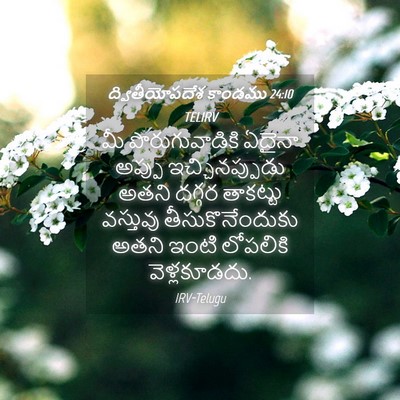Picture 04 - ద్వితీయోపదేశ కాండము 24:10 TELIRV - మీ పొరుగువాడికి - Bible Verse Picture