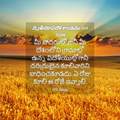 Picture 04 - ద్వితీయోపదేశ కాండము 24:14 TELIRV - మీ సోదరుల్లో గానీ - Bible Verse Picture