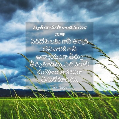 Picture 04 - ద్వితీయోపదేశ కాండము 24:17 TELIRV - పరదేశులకు గానీ - Bible Verse Picture