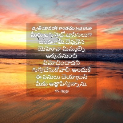Picture 04 - ద్వితీయోపదేశ కాండము 24:18 TELIRV - మీరు ఐగుప్తులో - Bible Verse Picture