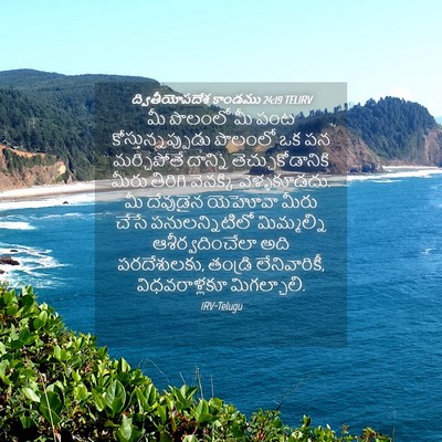 Picture 04 - ద్వితీయోపదేశ కాండము 24:19 TELIRV - మీ పొలంలో మీ పంట - Bible Verse Picture