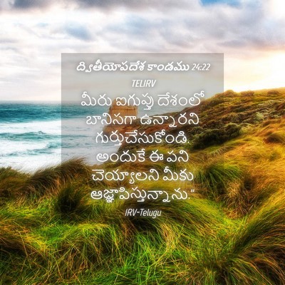 Picture 04 - ద్వితీయోపదేశ కాండము 24:22 TELIRV - మీరు ఐగుప్తు - Bible Verse Picture