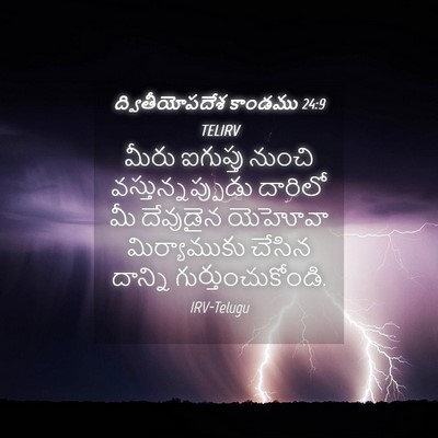Picture 04 - ద్వితీయోపదేశ కాండము 24:9 TELIRV - మీరు ఐగుప్తు - Bible Verse Picture