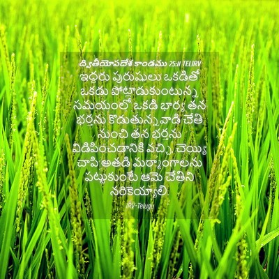 Picture 04 - ద్వితీయోపదేశ కాండము 25:11 TELIRV - ఇద్దరు పురుషులు - Bible Verse Picture