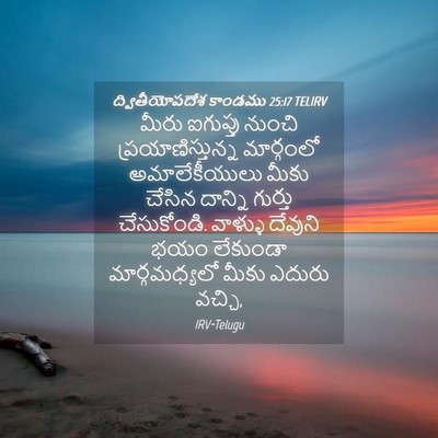 Picture 04 - ద్వితీయోపదేశ కాండము 25:17 TELIRV - మీరు ఐగుప్తు - Bible Verse Picture