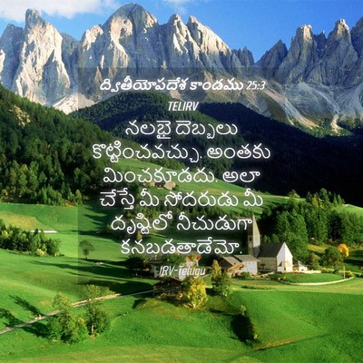 Picture 04 - ద్వితీయోపదేశ కాండము 25:3 TELIRV - నలభై దెబ్బలు - Bible Verse Picture