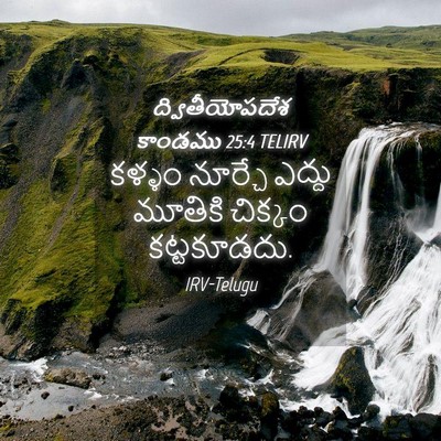 Picture 04 - ద్వితీయోపదేశ కాండము 25:4 TELIRV - కళ్ళం నూర్చే - Bible Verse Picture