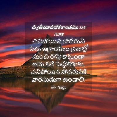 Picture 04 - ద్వితీయోపదేశ కాండము 25:6 TELIRV - చనిపోయిన సోదరుని - Bible Verse Picture