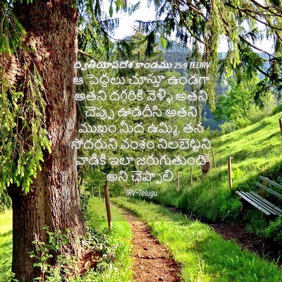 Picture 04 - ద్వితీయోపదేశ కాండము 25:9 TELIRV - ఆ పెద్దలు చూస్తూ - Bible Verse Picture