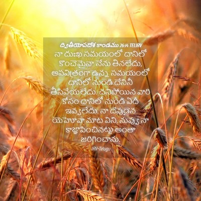 Picture 04 - ద్వితీయోపదేశ కాండము 26:14 TELIRV - నా దుఃఖ సమయంలో - Bible Verse Picture