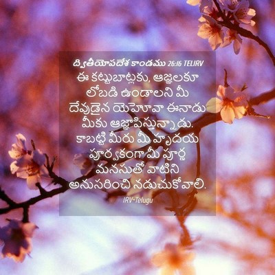 Picture 04 - ద్వితీయోపదేశ కాండము 26:16 TELIRV - ఈ కట్టుబాట్లకు, - Bible Verse Picture