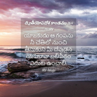 Picture 04 - ద్వితీయోపదేశ కాండము 26:4 TELIRV - యాజకుడు ఆ గంపను నీ - Bible Verse Picture