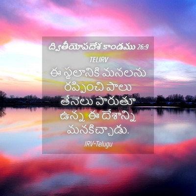 Picture 04 - ద్వితీయోపదేశ కాండము 26:9 TELIRV - ఈ స్థలానికి మనలను - Bible Verse Picture
