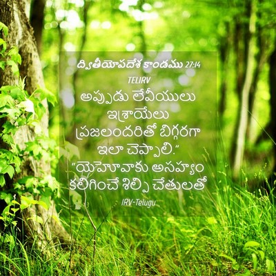 Picture 04 - ద్వితీయోపదేశ కాండము 27:14 TELIRV - అప్పుడు లేవీయులు - Bible Verse Picture