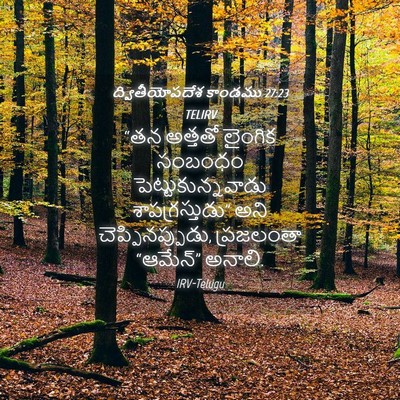 Picture 04 - ద్వితీయోపదేశ కాండము 27:23 TELIRV - “తన అత్తతో లైంగిక - Bible Verse Picture