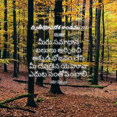Picture 04 - ద్వితీయోపదేశ కాండము 27:7 TELIRV - మీరు సమాధాన బలులు - Bible Verse Picture