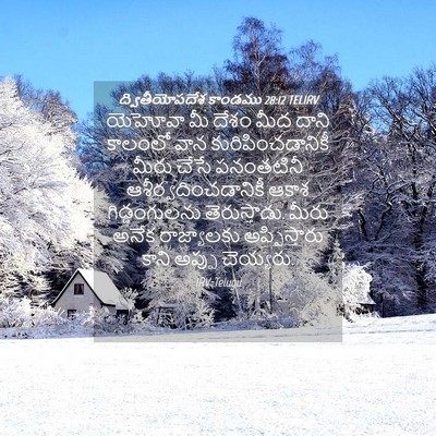 Picture 04 - ద్వితీయోపదేశ కాండము 28:12 TELIRV - యెహోవా మీ దేశం మీద - Bible Verse Picture