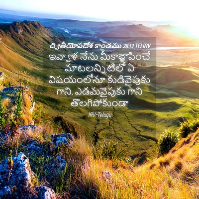 Picture 04 - ద్వితీయోపదేశ కాండము 28:13 TELIRV - ఇవ్వాళ నేను - Bible Verse Picture