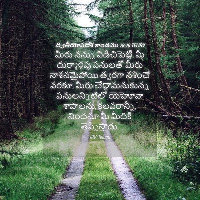 Picture 04 - ద్వితీయోపదేశ కాండము 28:20 TELIRV - మీరు నన్ను - Bible Verse Picture