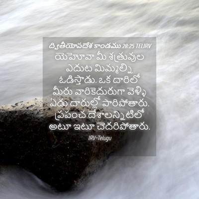 Picture 04 - ద్వితీయోపదేశ కాండము 28:25 TELIRV - యెహోవా మీ - Bible Verse Picture